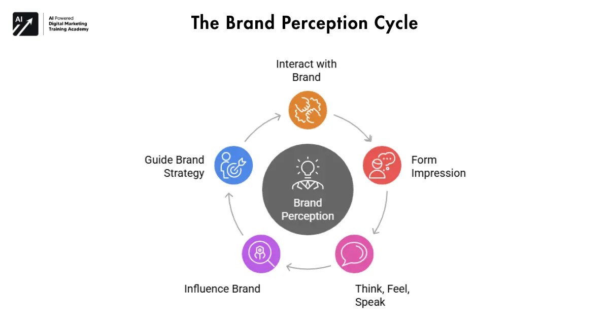 The Brand Perception Cycle