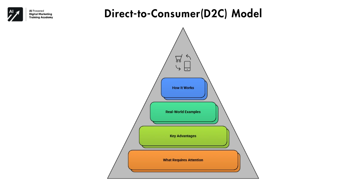 Direct-to-Consumer(D2C) Model
