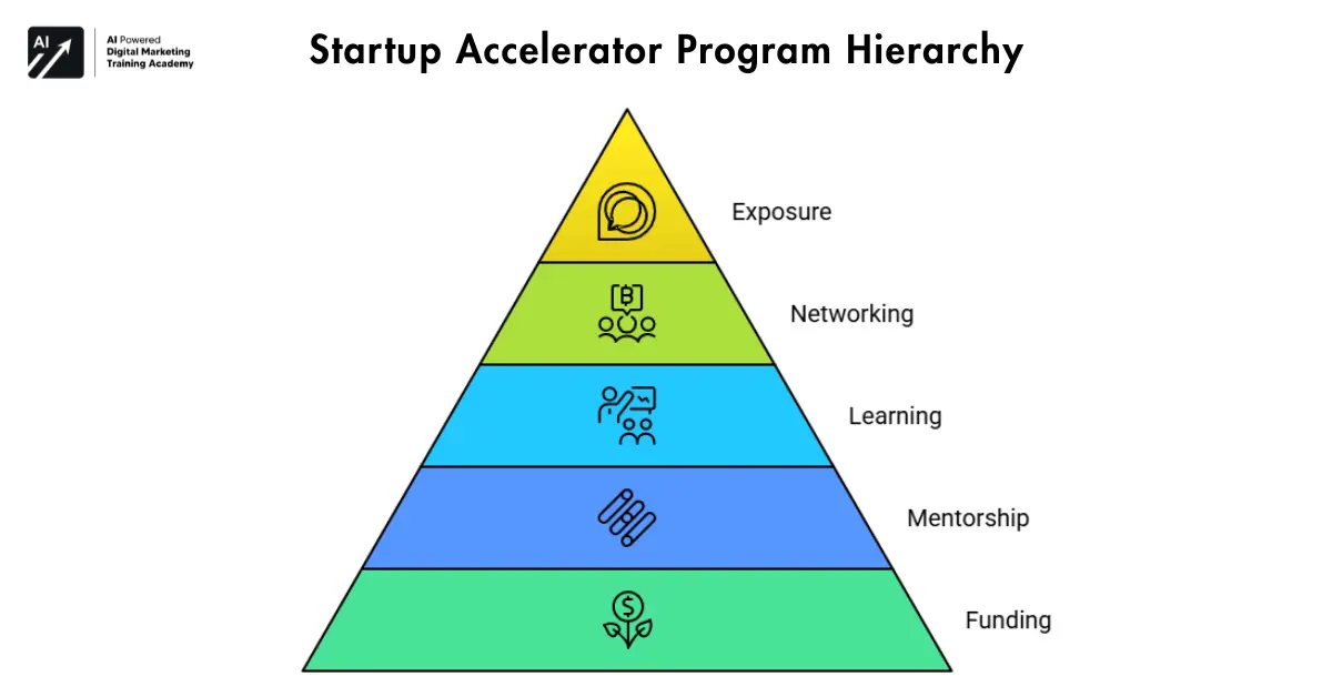 Startup Accelerator Program Hierarchy
